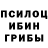 Псилоцибиновые грибы Psilocybe Sveni Skill