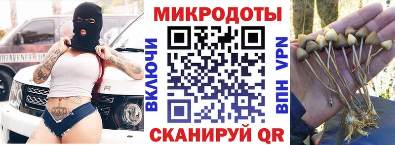 наркота  MEGA ONION  Галлюциногенные грибы GOLDEN TEACHER  Нюрба 