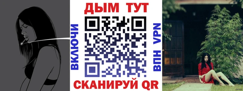Бошки Шишки планчик  Нюрба 